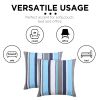 Pack Of 2 Outdoor Pillow With Inserts, 18" x 18" - Blue Strip