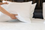 Luxurious Viscose from 100% Bamboo 2-Piece Pillowcase Set , Oeko-TEX Certified, King - White